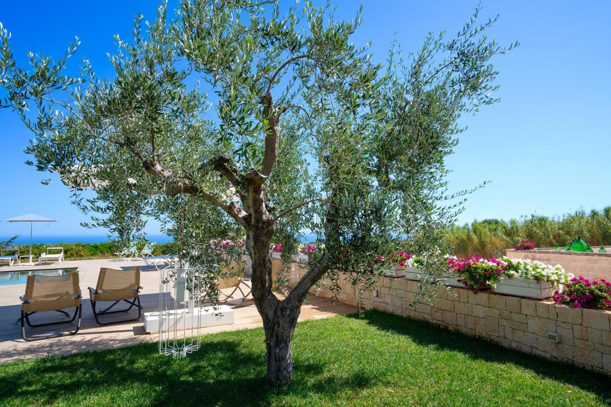 Montegrottone Nature Retreat Polignano a Mare Exteriér fotografie